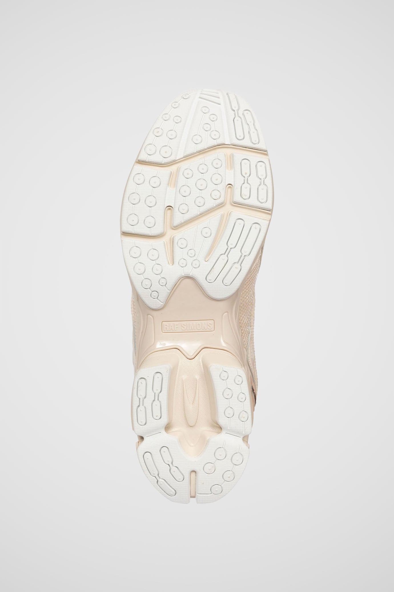 Pharaxus Sneakers