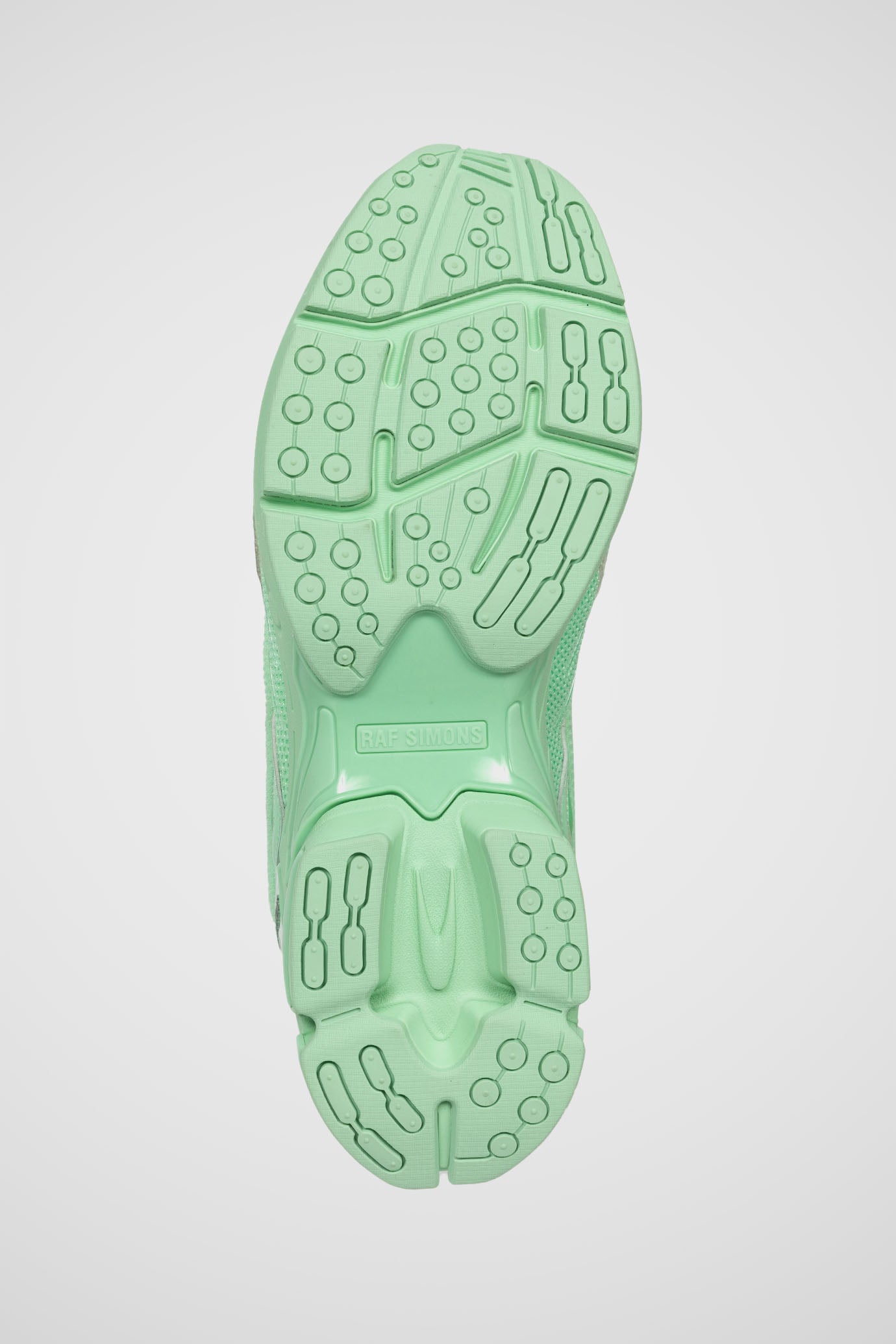 Pharaxus Sneakers