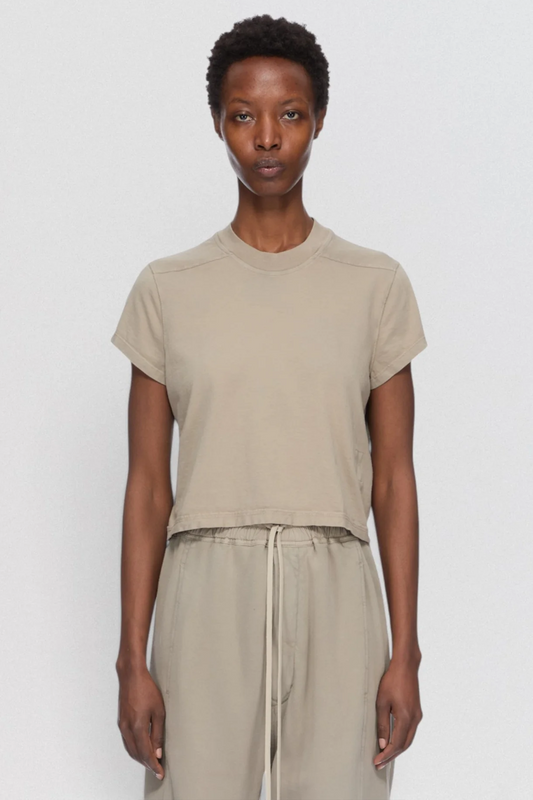 Cropped Small Level T