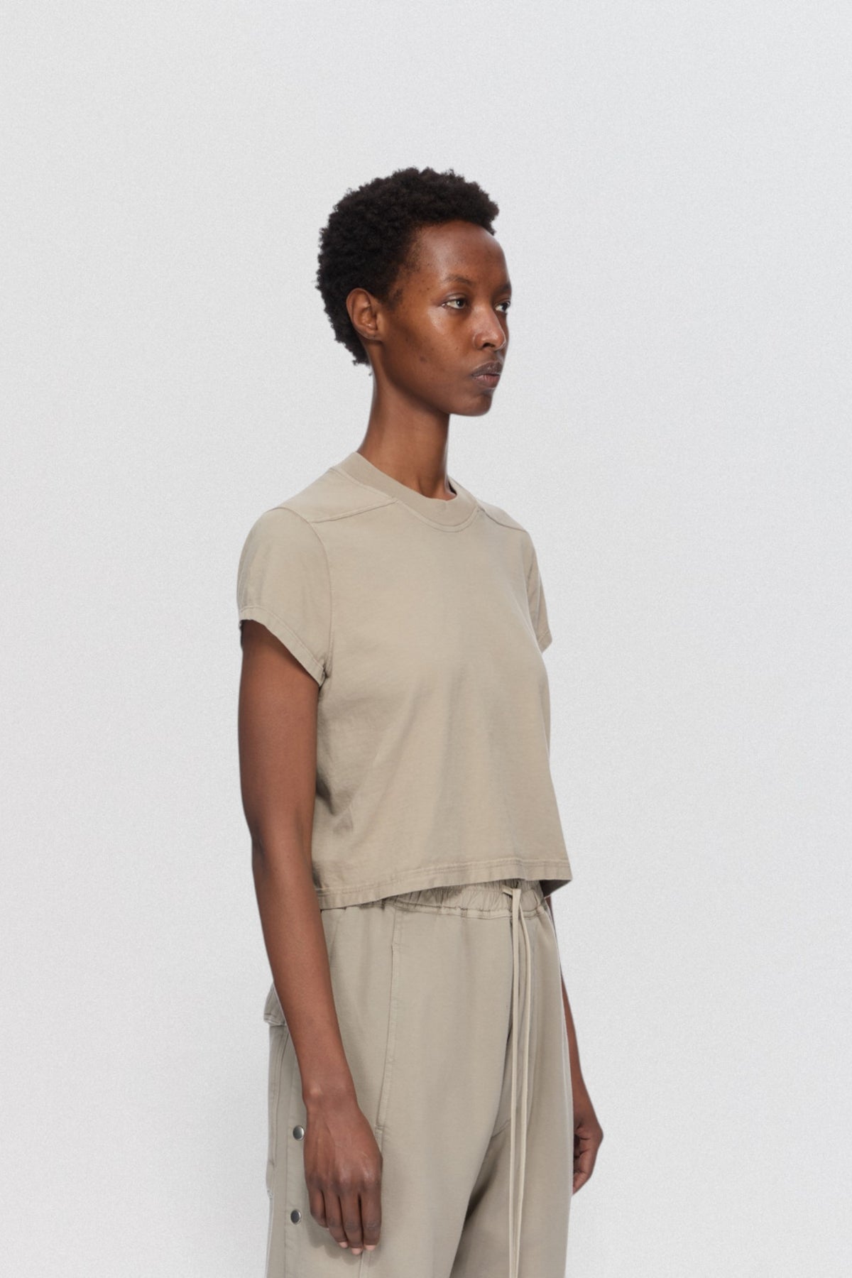 Cropped Small Level T
