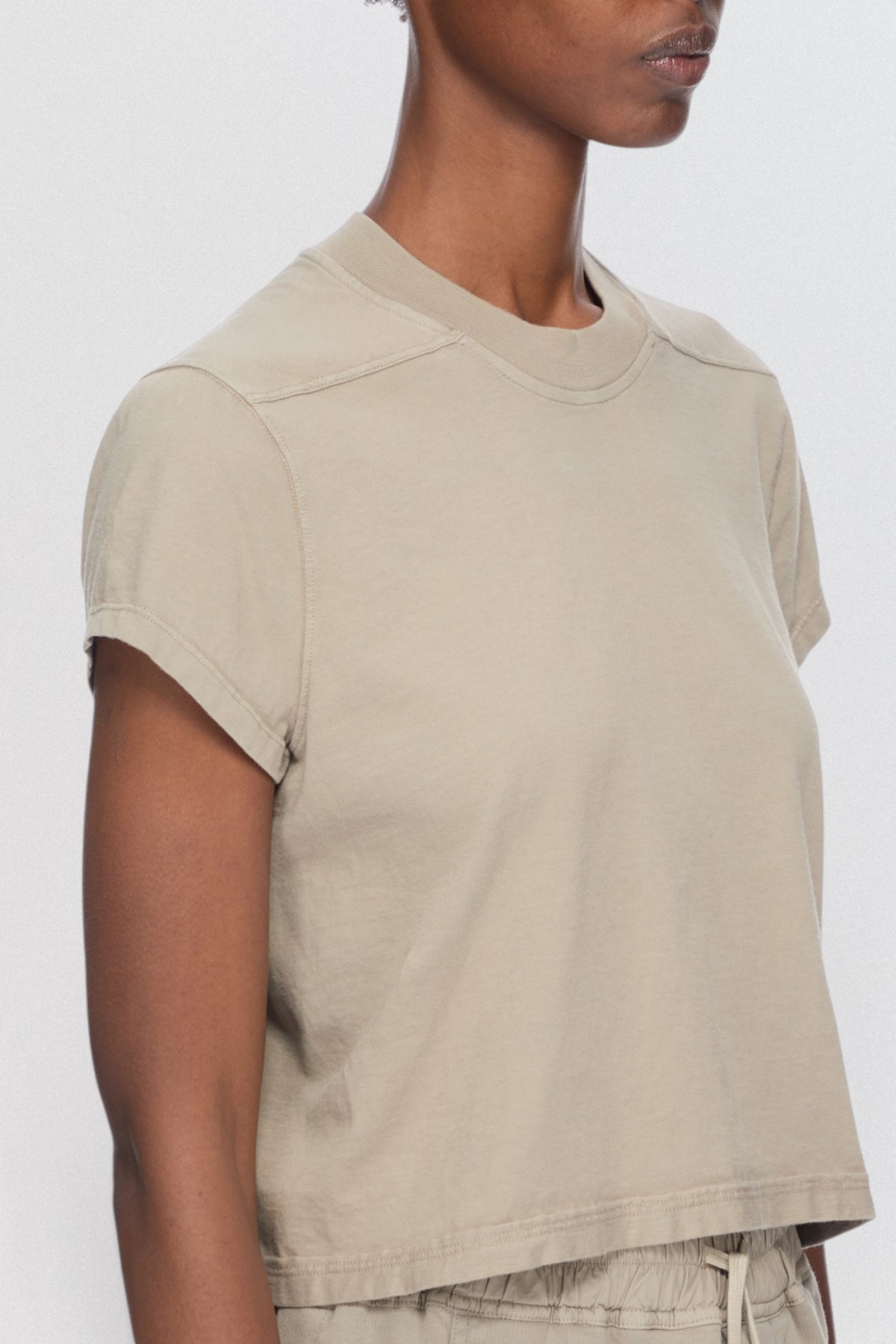 Cropped Small Level T