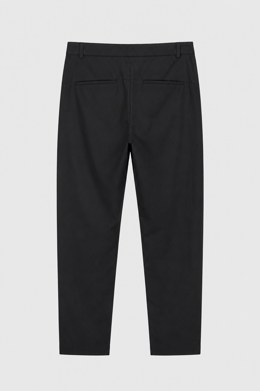 Pleated Pants