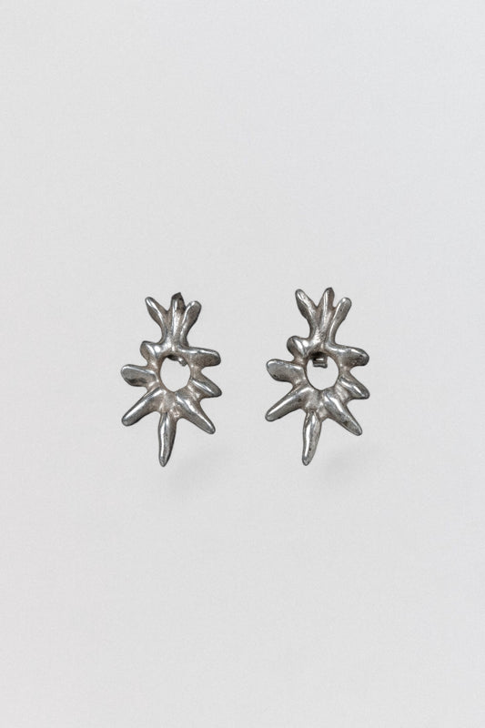 Taikon-E Earrings