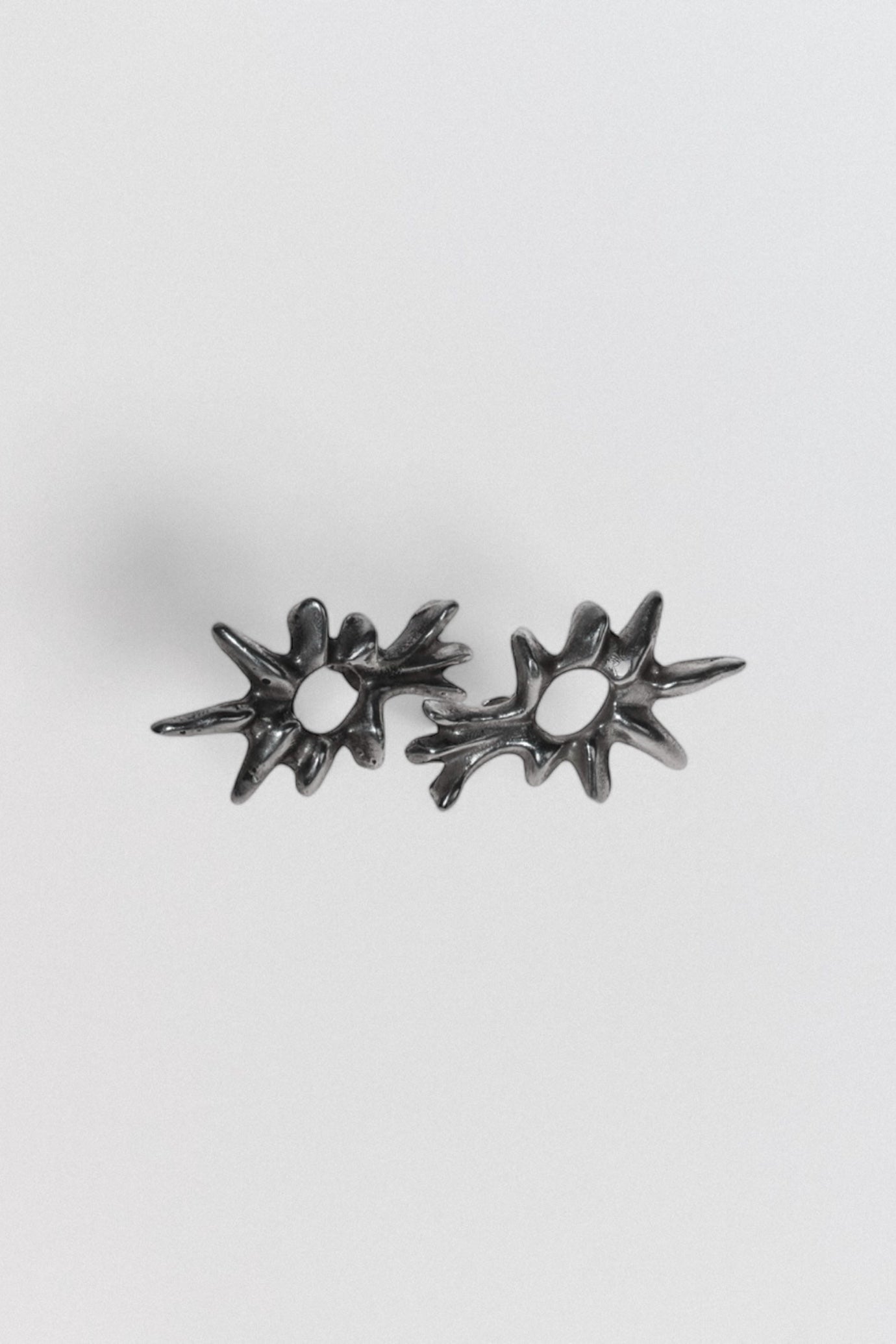 Taikon-E Earrings